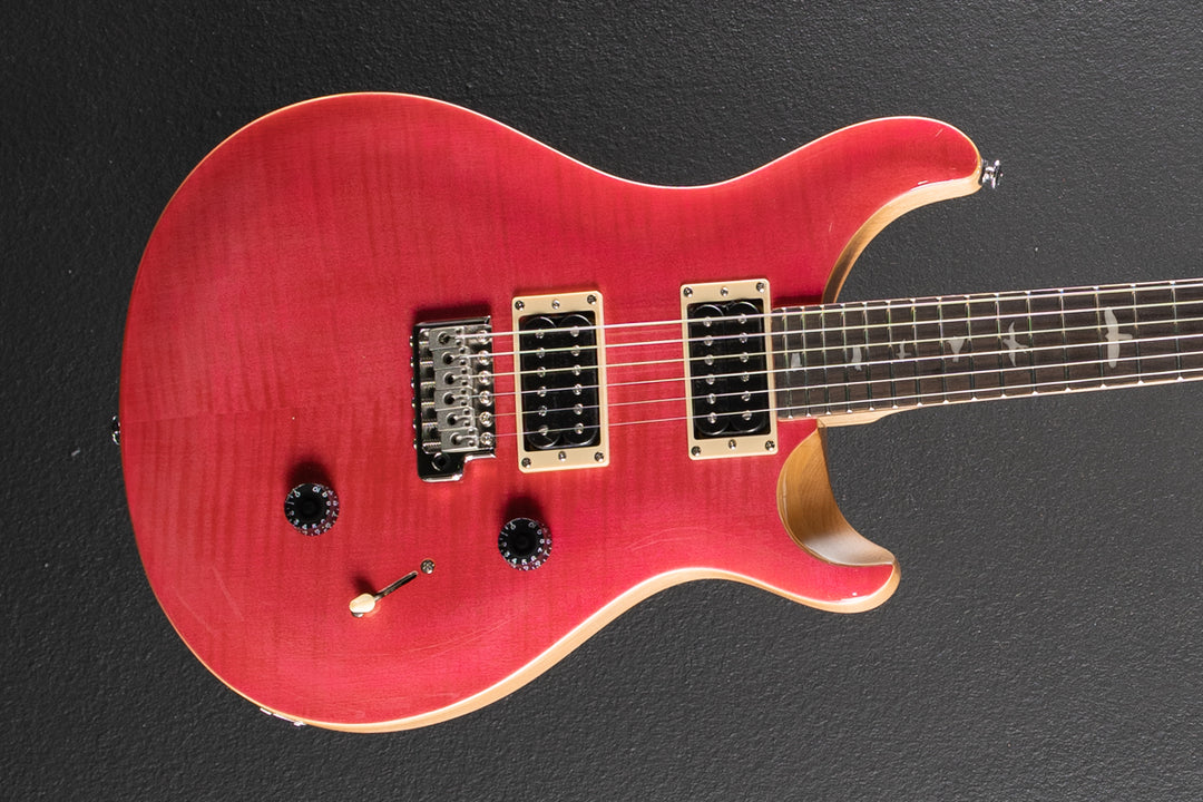 SE Custom 24 &
