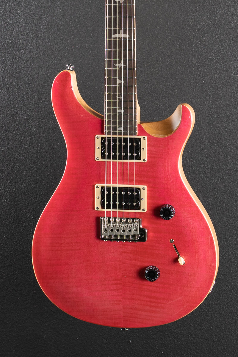 SE Custom 24 &