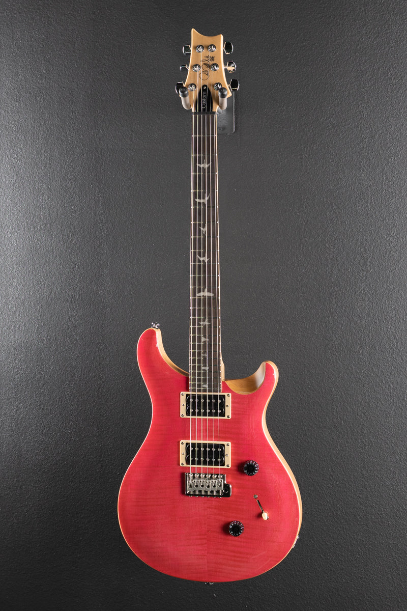 SE Custom 24 &