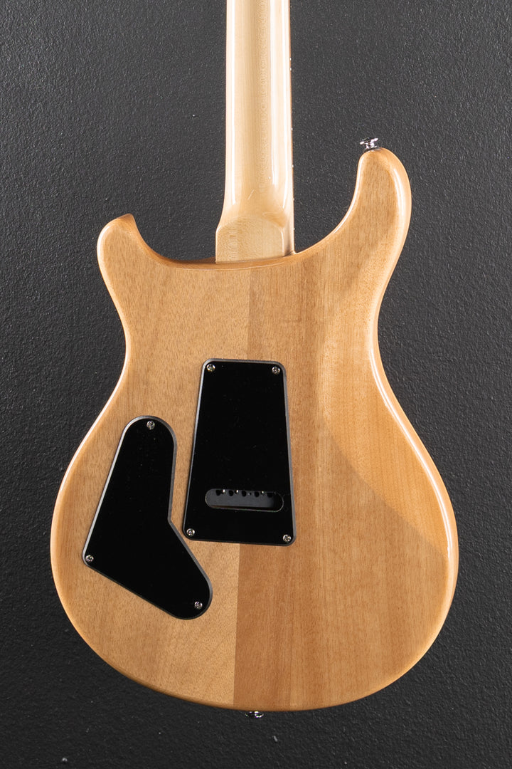SE Custom 24 &