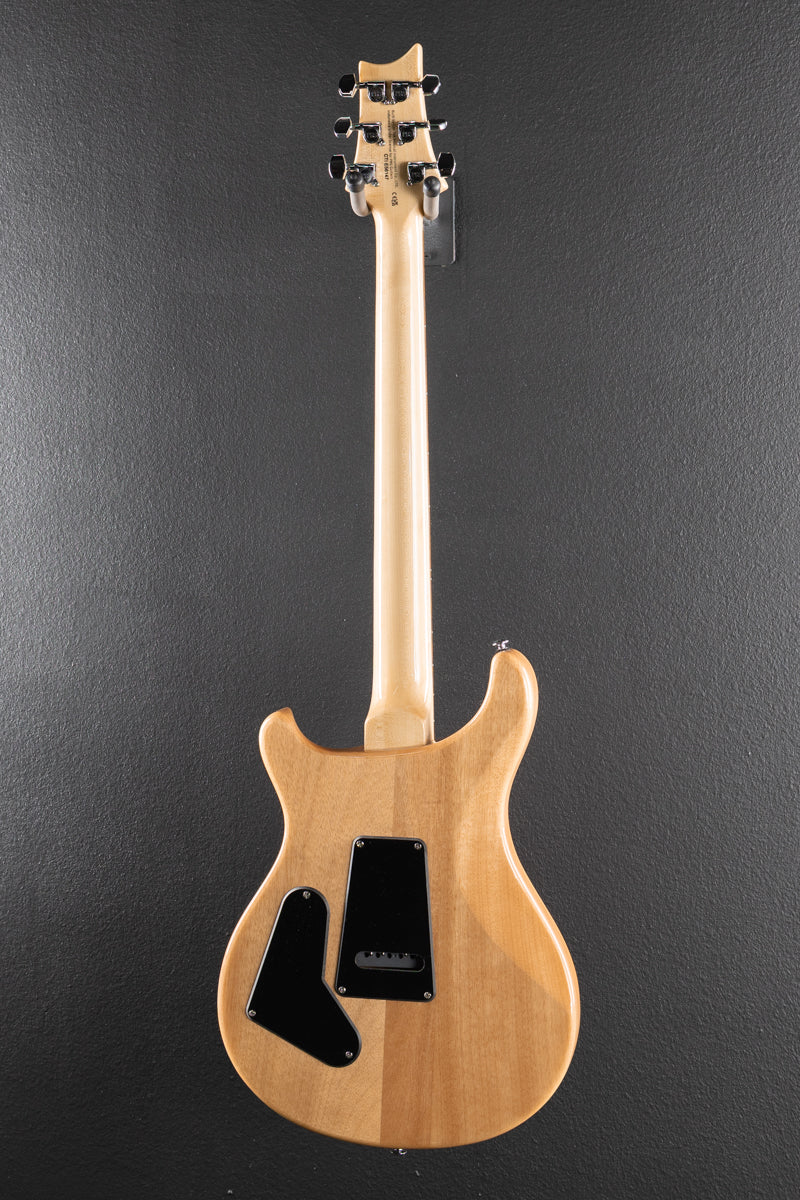 SE Custom 24 &
