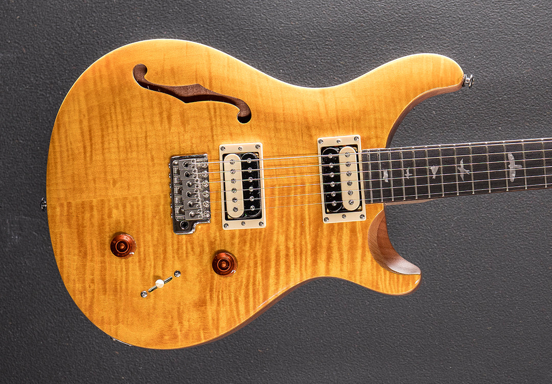 SE Custom 22 Semi-Hollow &
