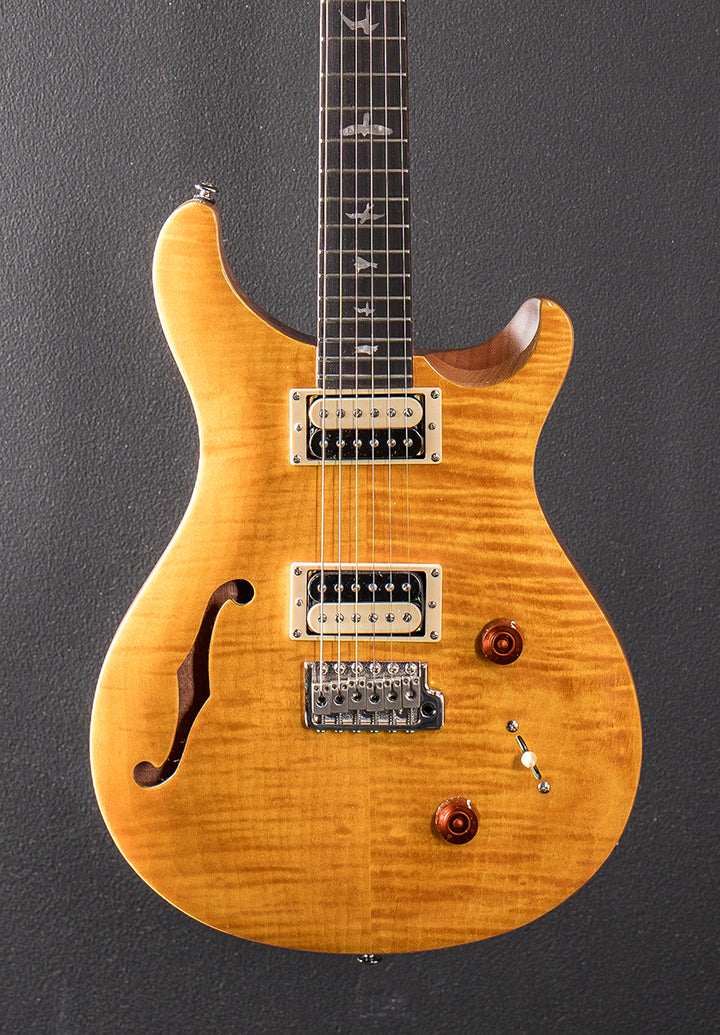 SE Custom 22 Semi-Hollow &