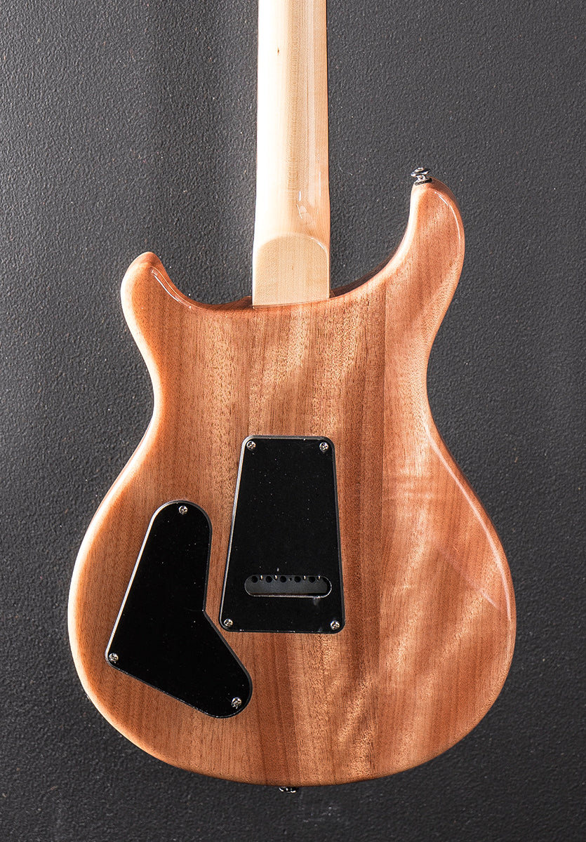SE Custom 22 Semi-Hollow &