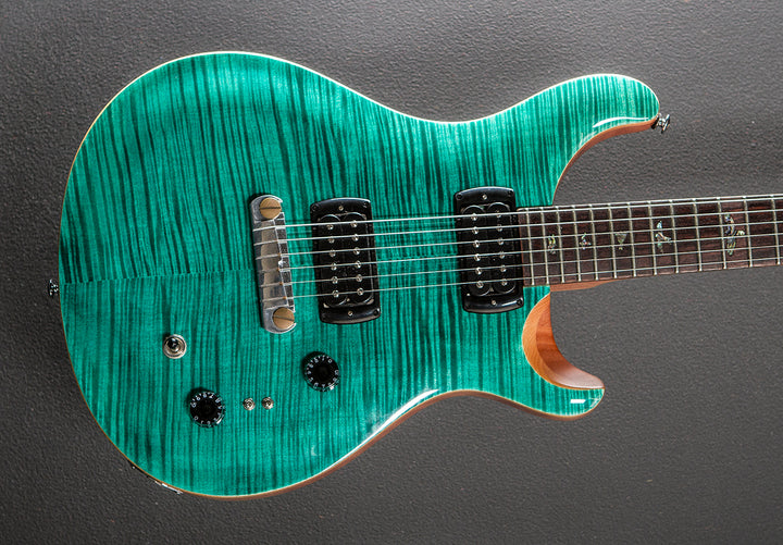 SE Paul's Guitar '23