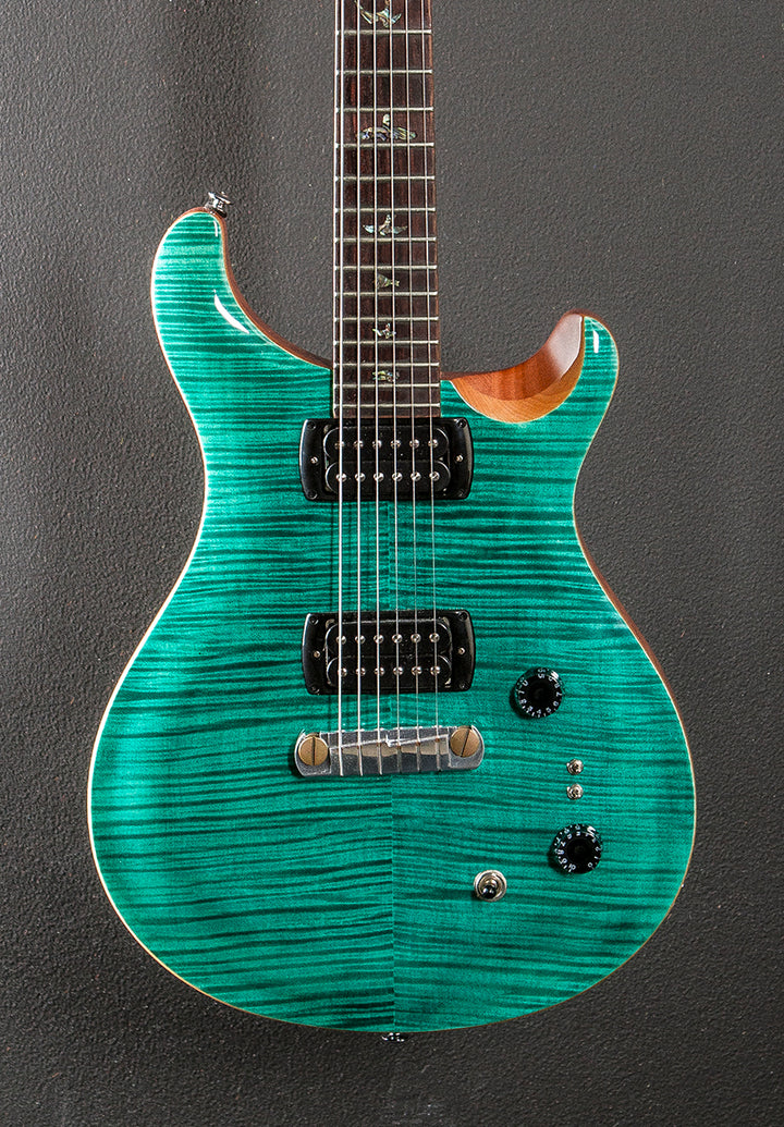 SE Paul's Guitar '23