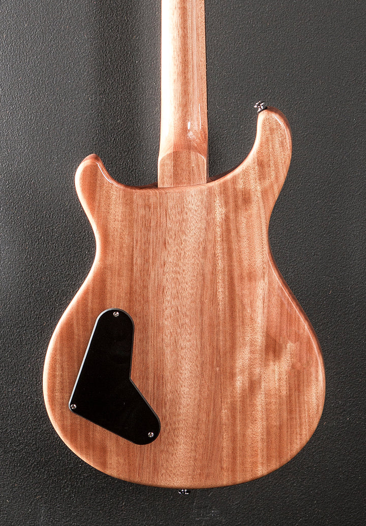 SE Paul's Guitar '23