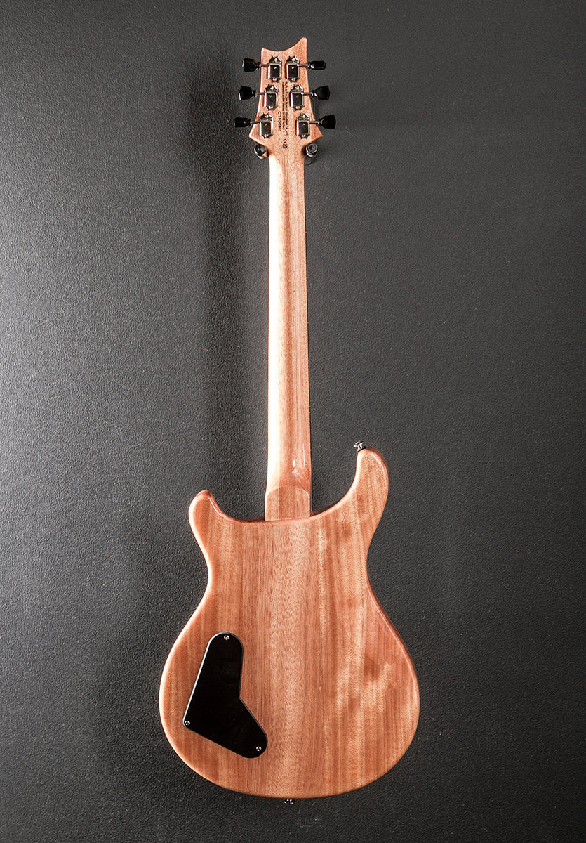 SE Paul's Guitar '23