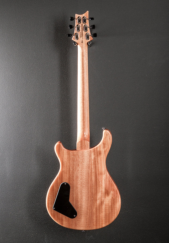 SE Paul's Guitar '23