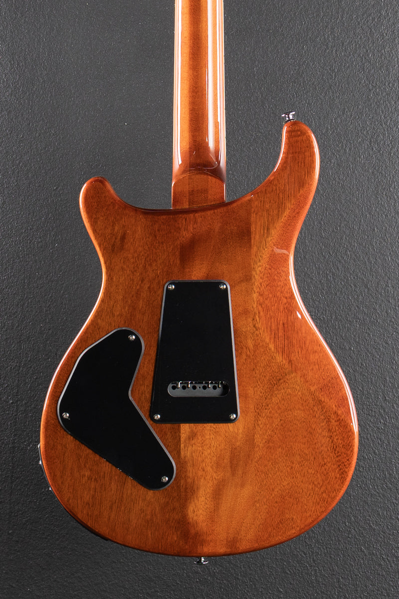 SE Custom 24 Semi Hollow Piezo, &
