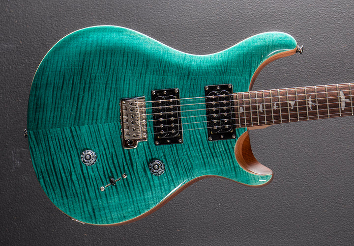 SE Custom 24 &
