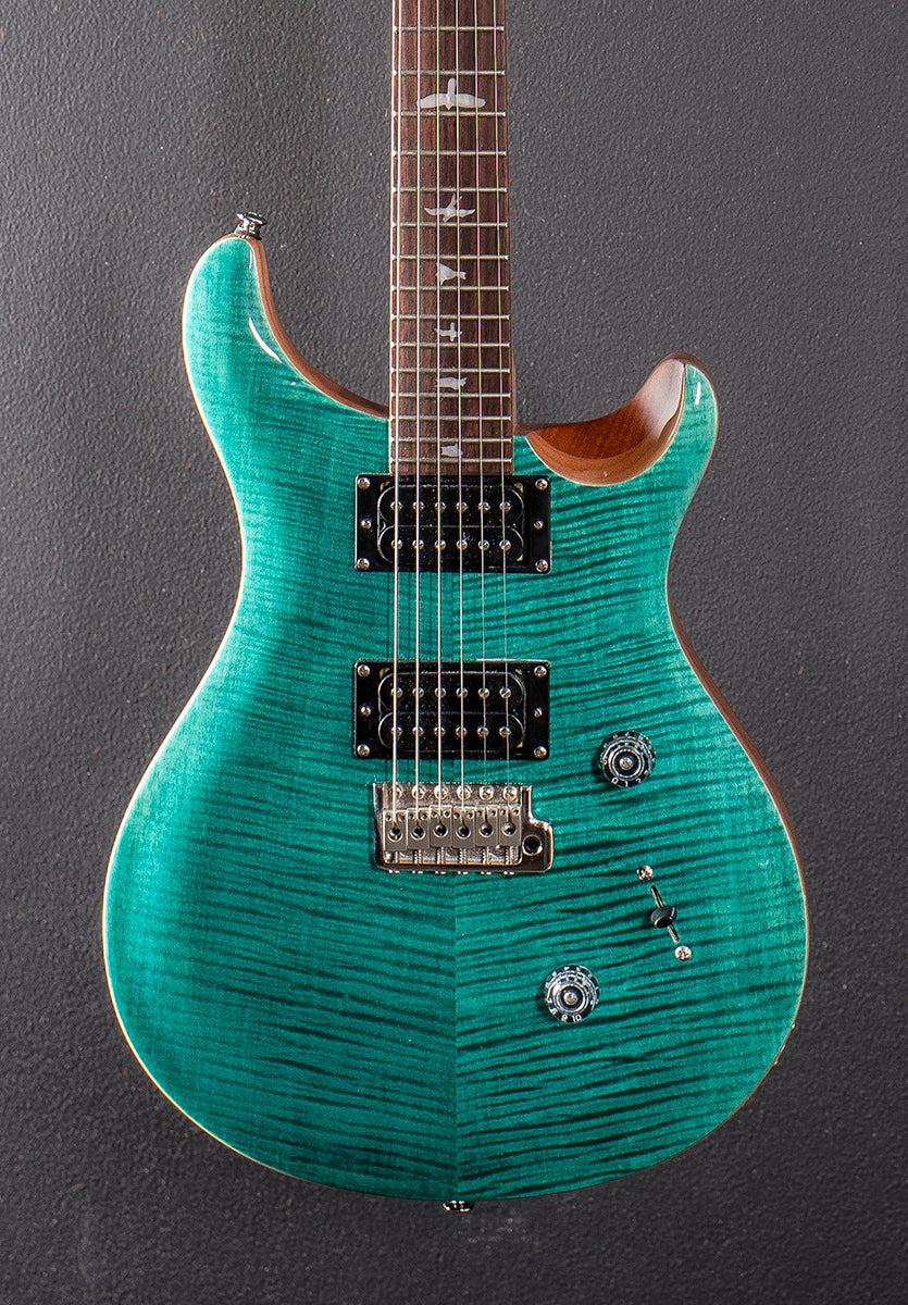 SE Custom 24 &