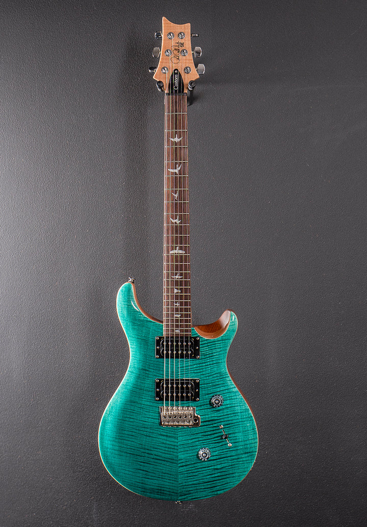SE Custom 24 &