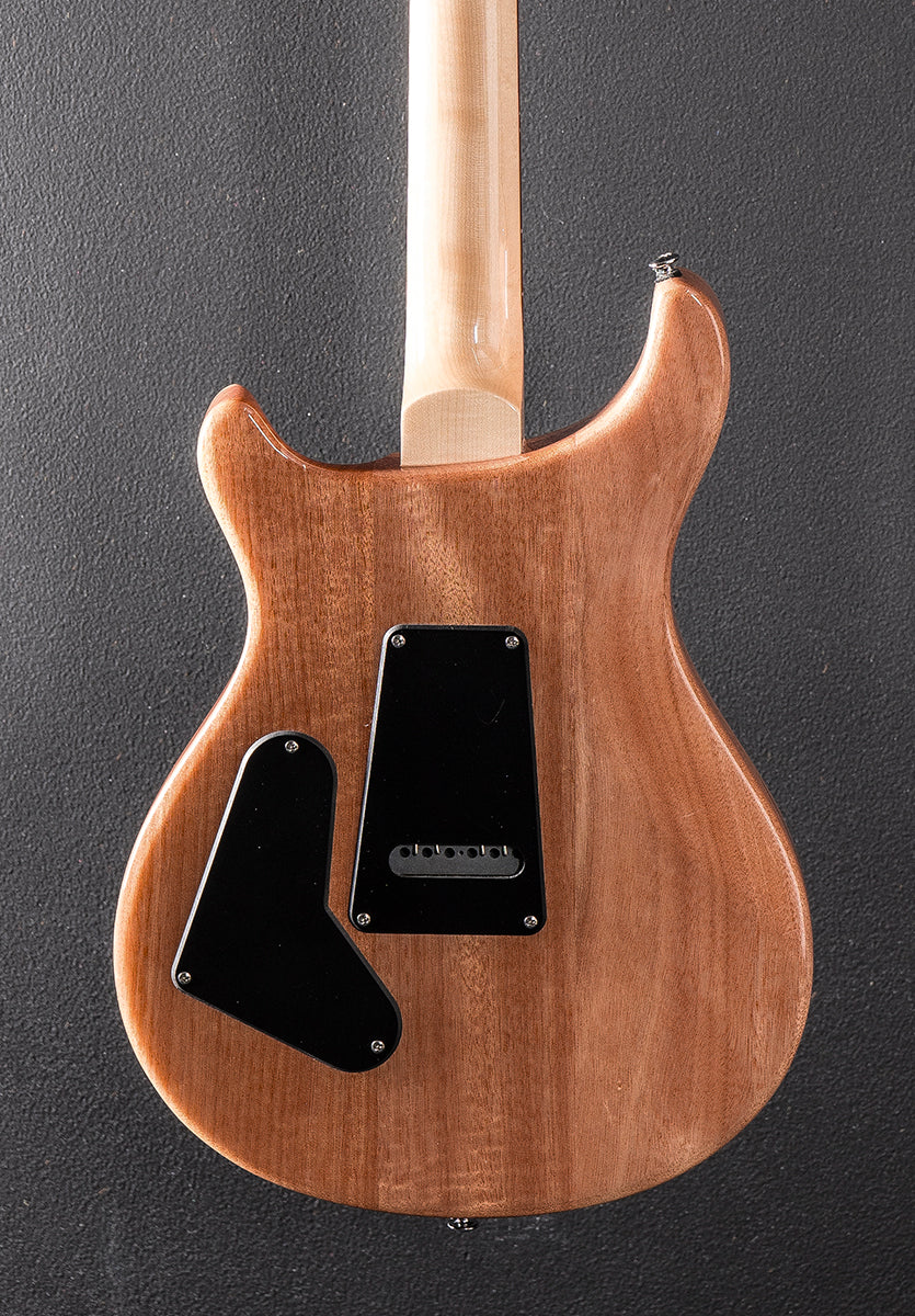 SE Custom 24 &