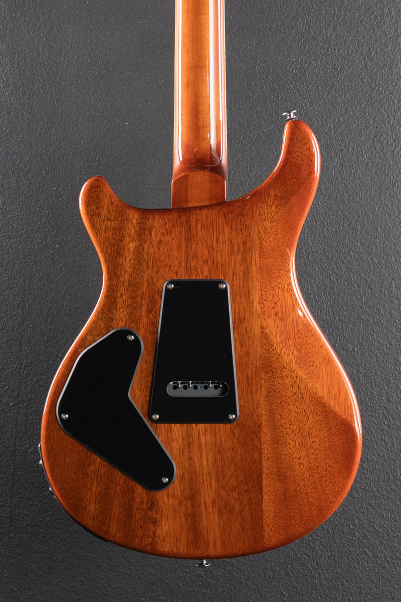 SE Custom 24 Semi Hollow Piezo, &