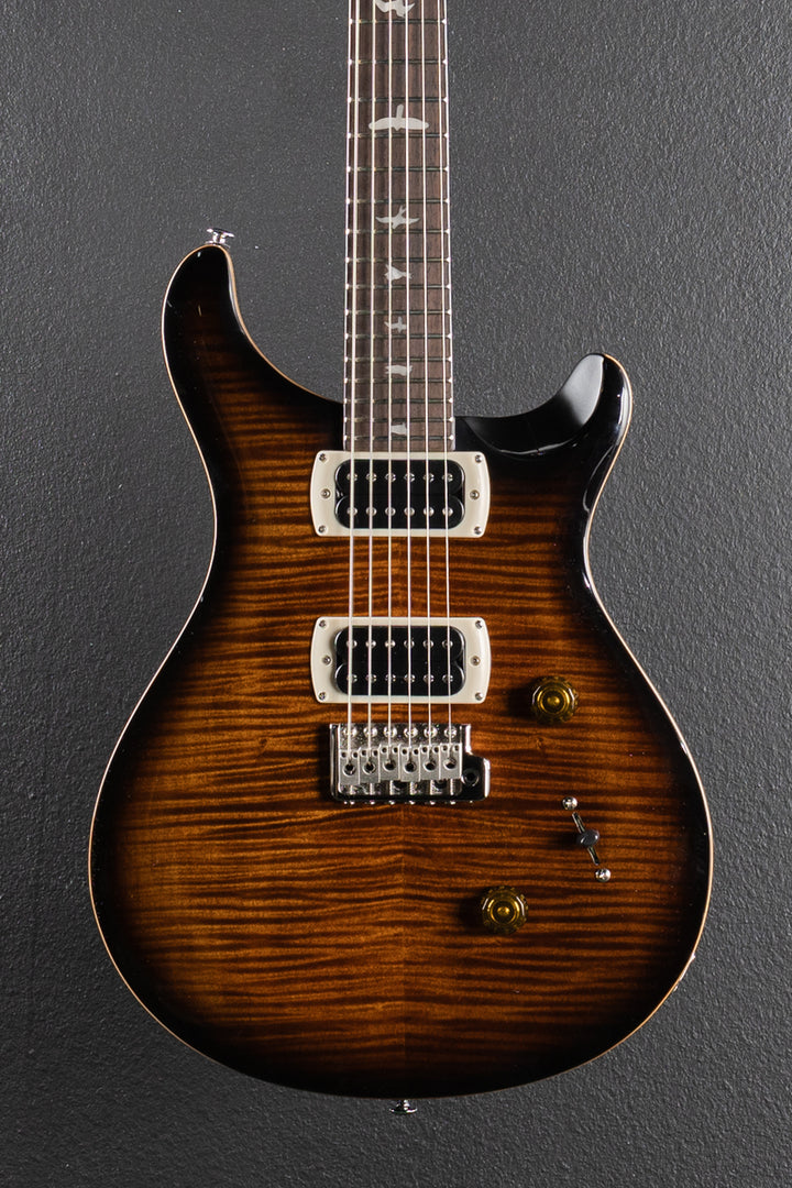 SE Custom 24 &