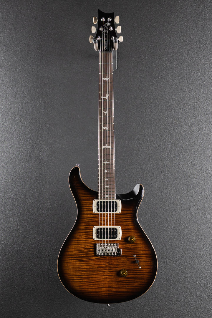 SE Custom 24 &
