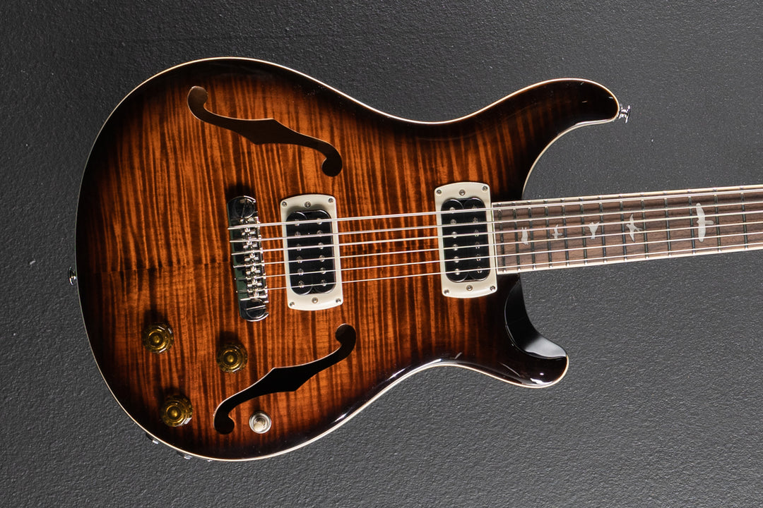 SE Ed Sheeran Hollowbody I Baritone Piezo, &