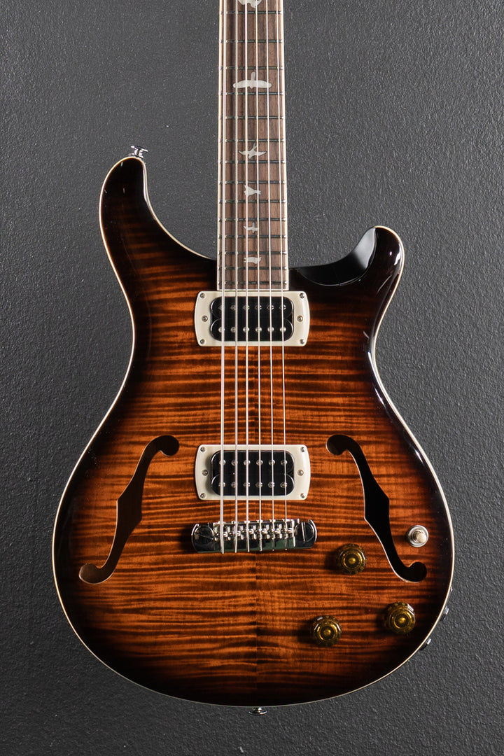 SE Ed Sheeran Hollowbody I Baritone Piezo, &