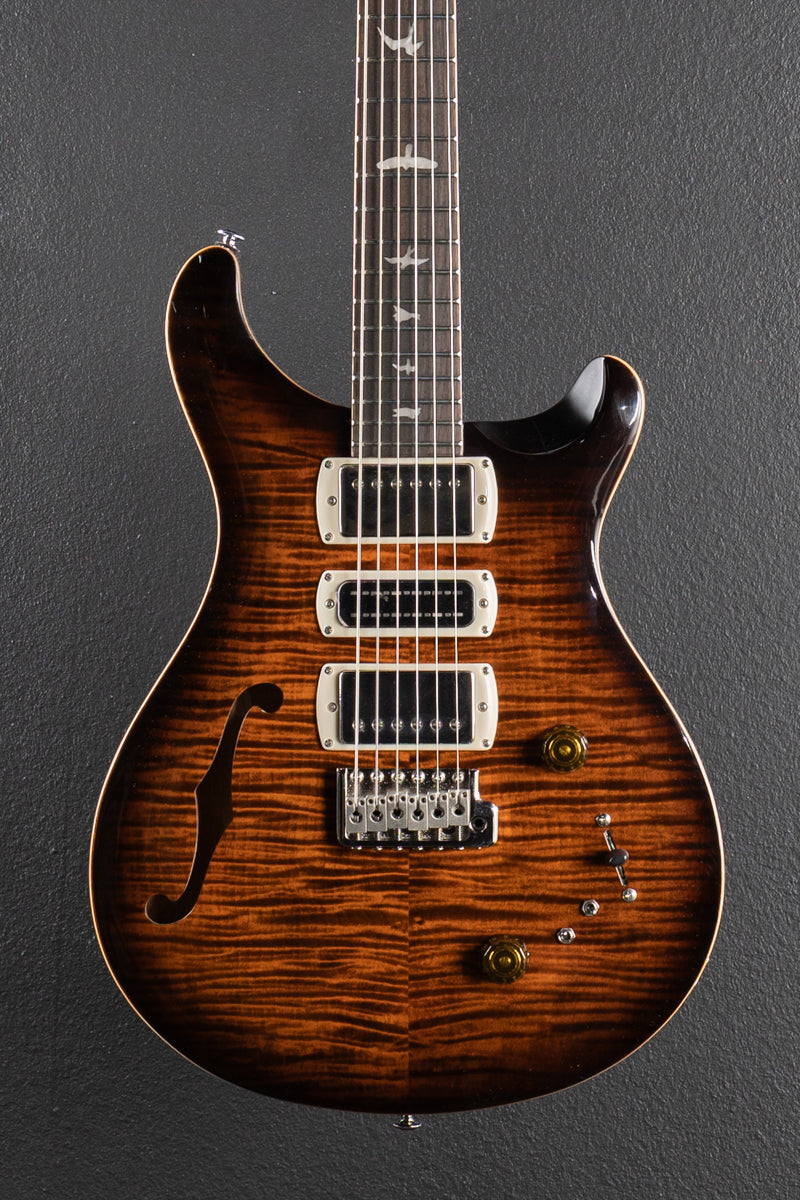 SE Special Semi Hollow, &
