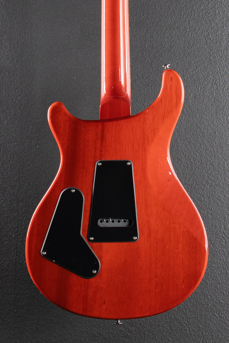 SE Custom 24 &