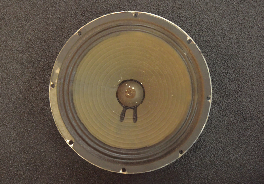 10" Speaker - 16 OHMS, '71