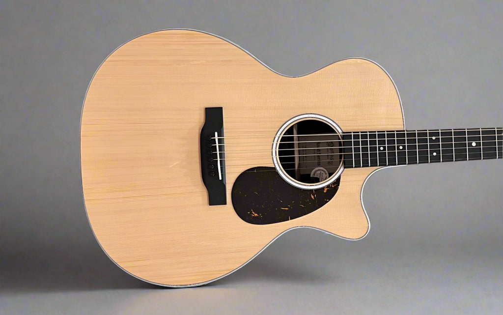 GPC-13E Ziricote – Dave's Guitar Shop