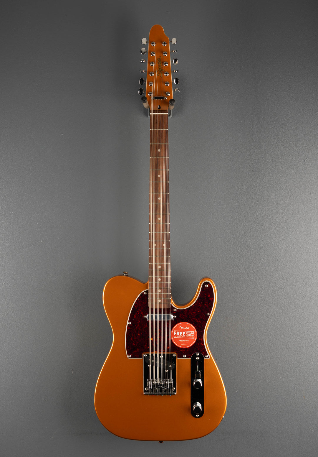 Paranormal Troy Van Leeuwen Telecaster XII - Copper