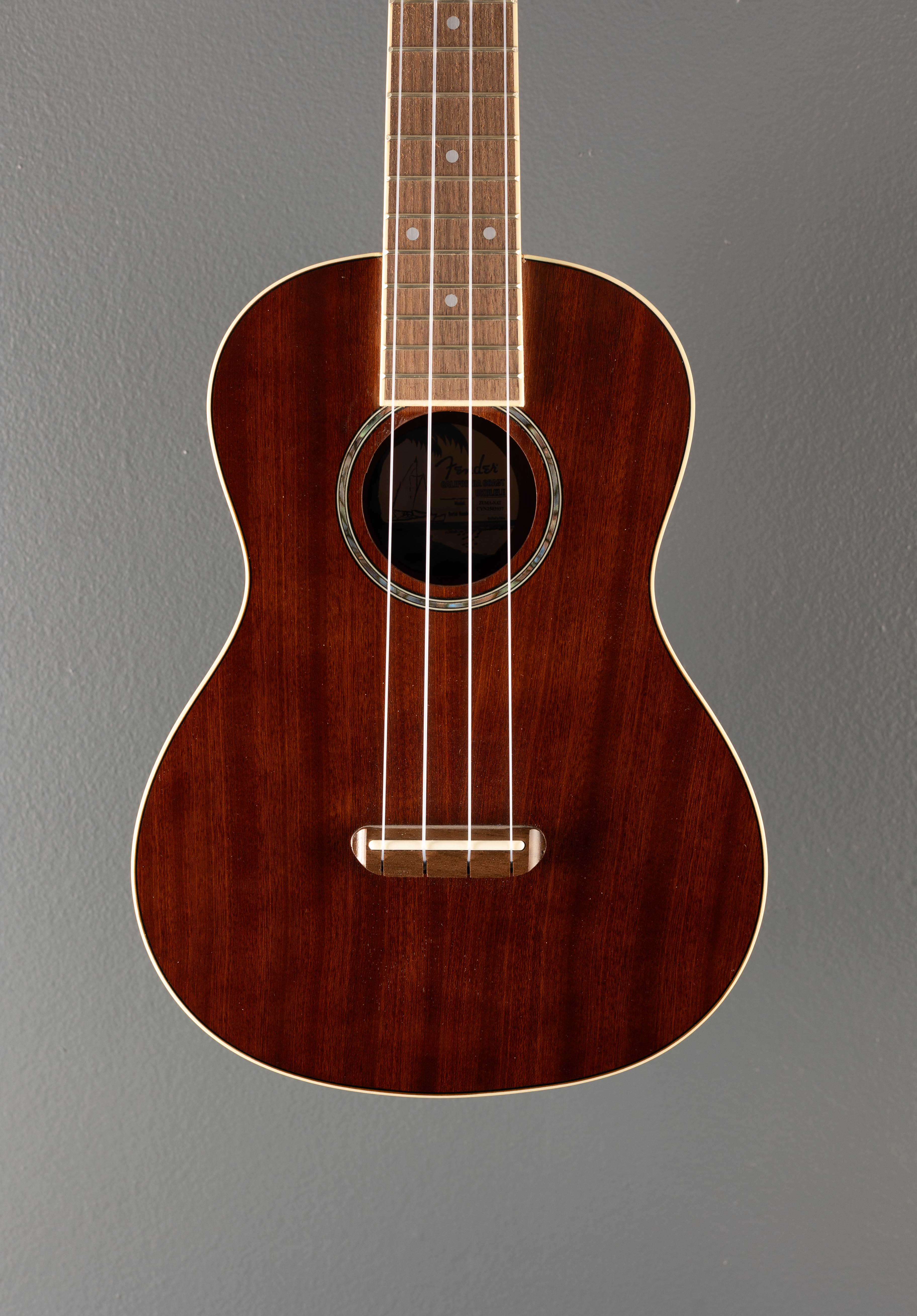 Zuma Concert Ukulele - Natural – Dave's Guitar Shop