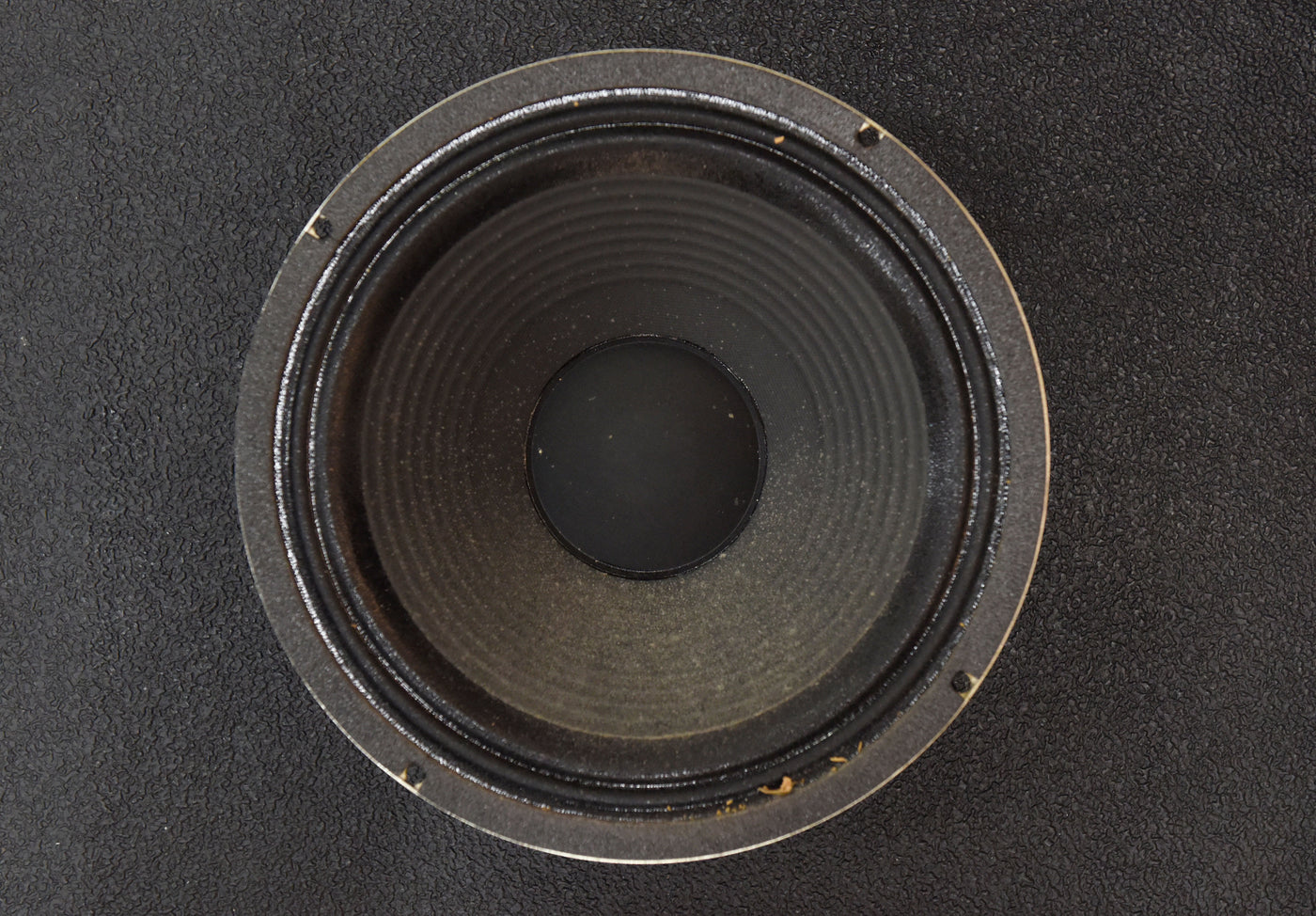 G12T-75 12" Speaker  - 16 OHM