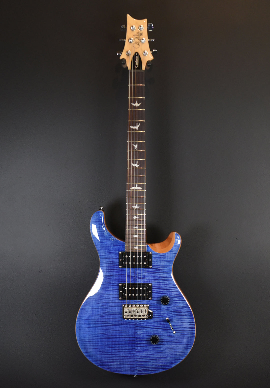 SE Custom 24 '22