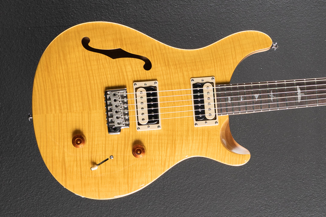 SE Custom 22 Semi-Hollow &
