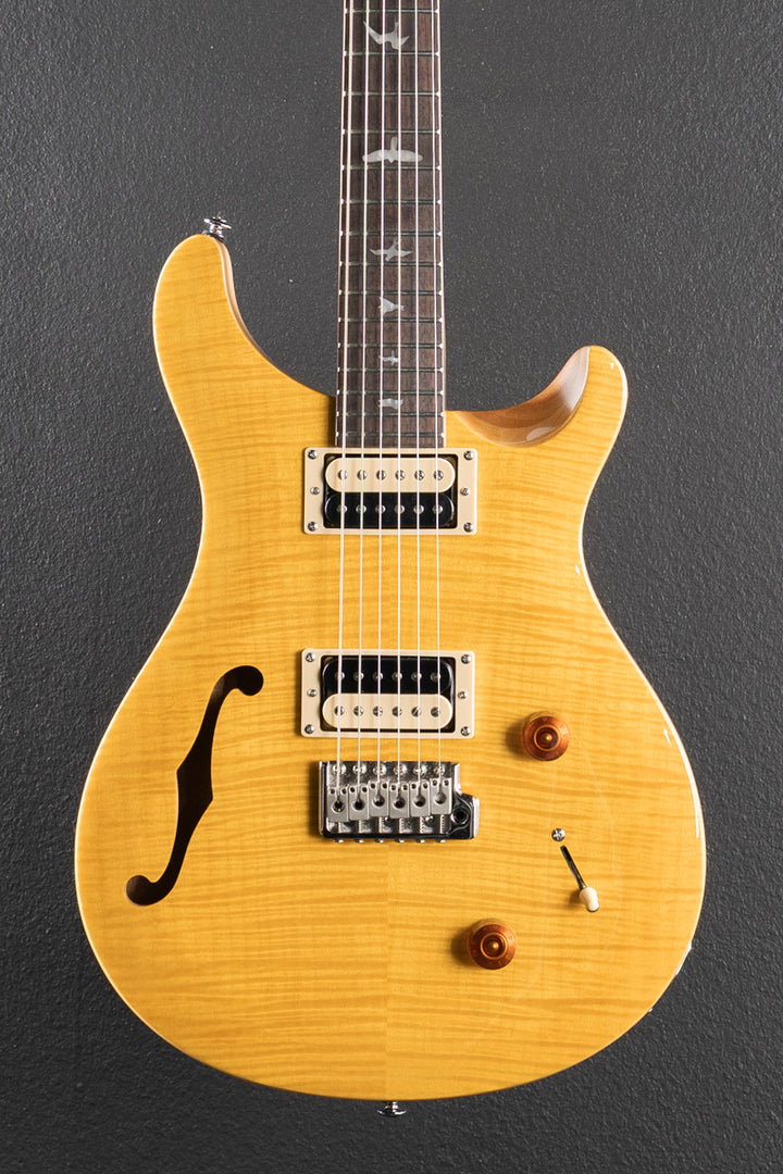 SE Custom 22 Semi-Hollow &