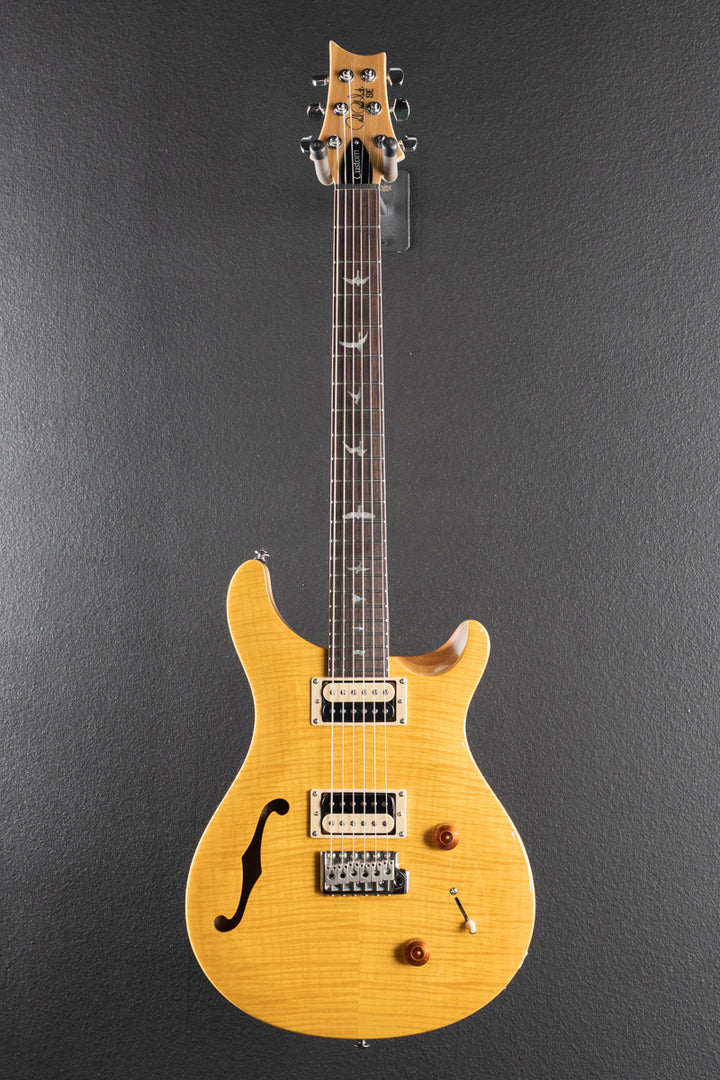 SE Custom 22 Semi-Hollow &