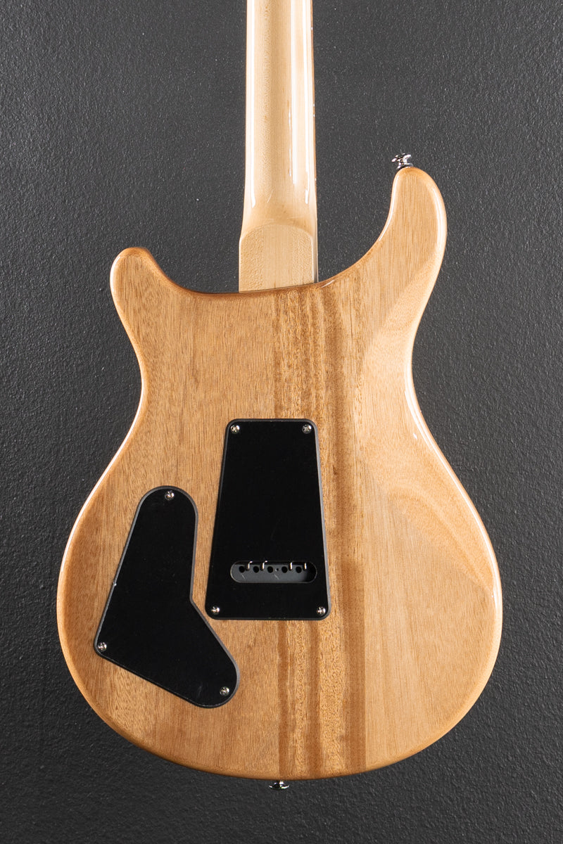 SE Custom 22 Semi-Hollow &
