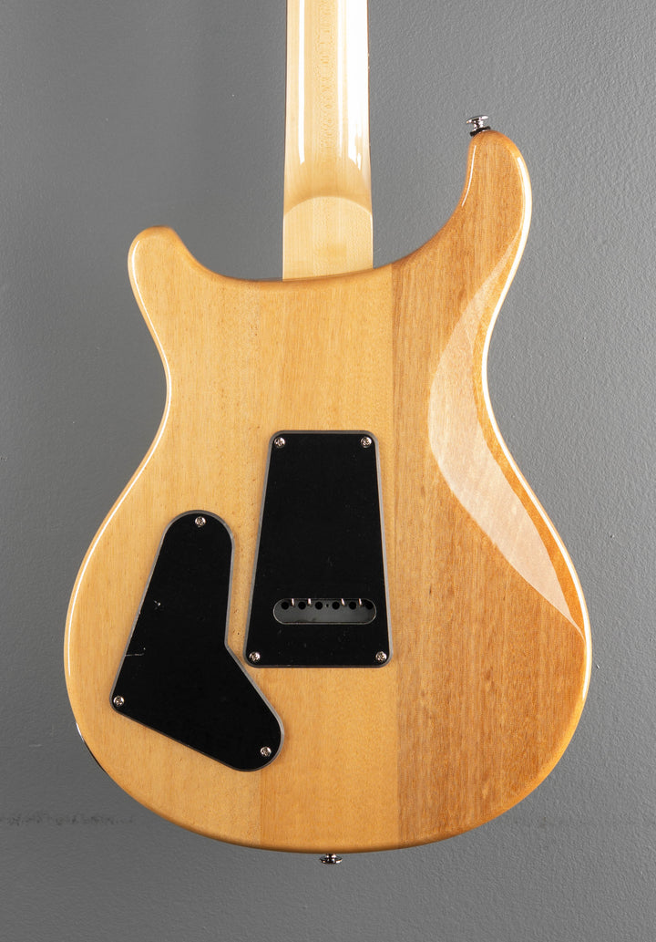 SE Custom 22 Semi-Hollow &