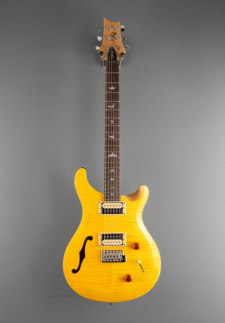 SE Custom 22 Semi-Hollow &