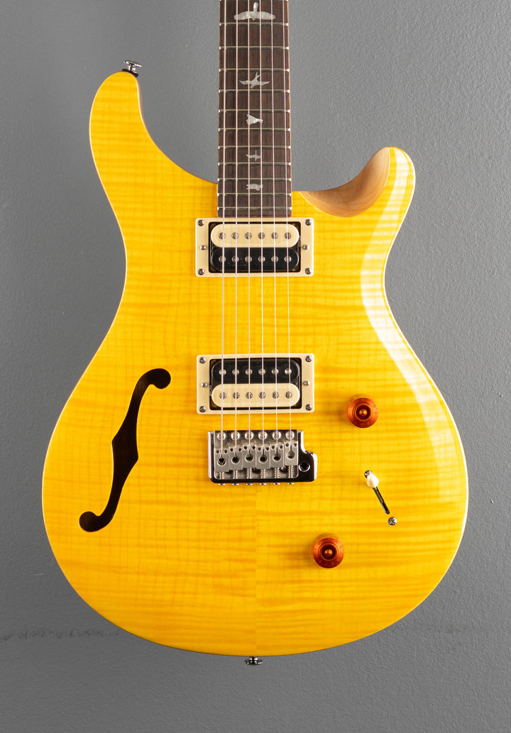 SE Custom 22 Semi-Hollow &