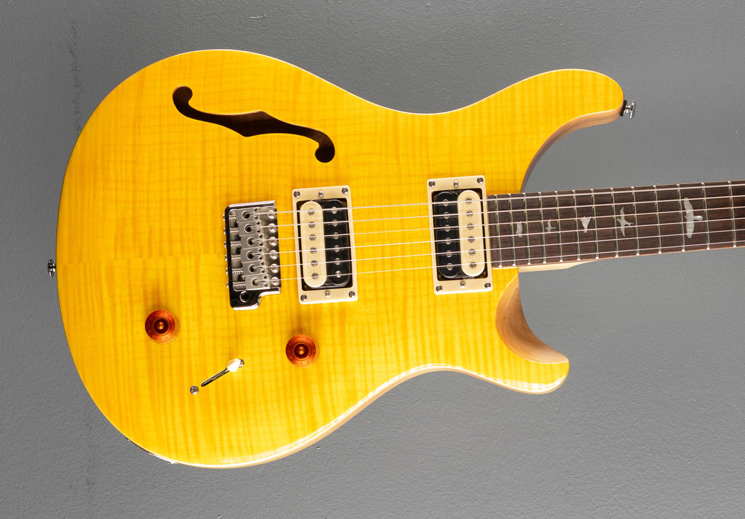 SE Custom 22 Semi-Hollow &