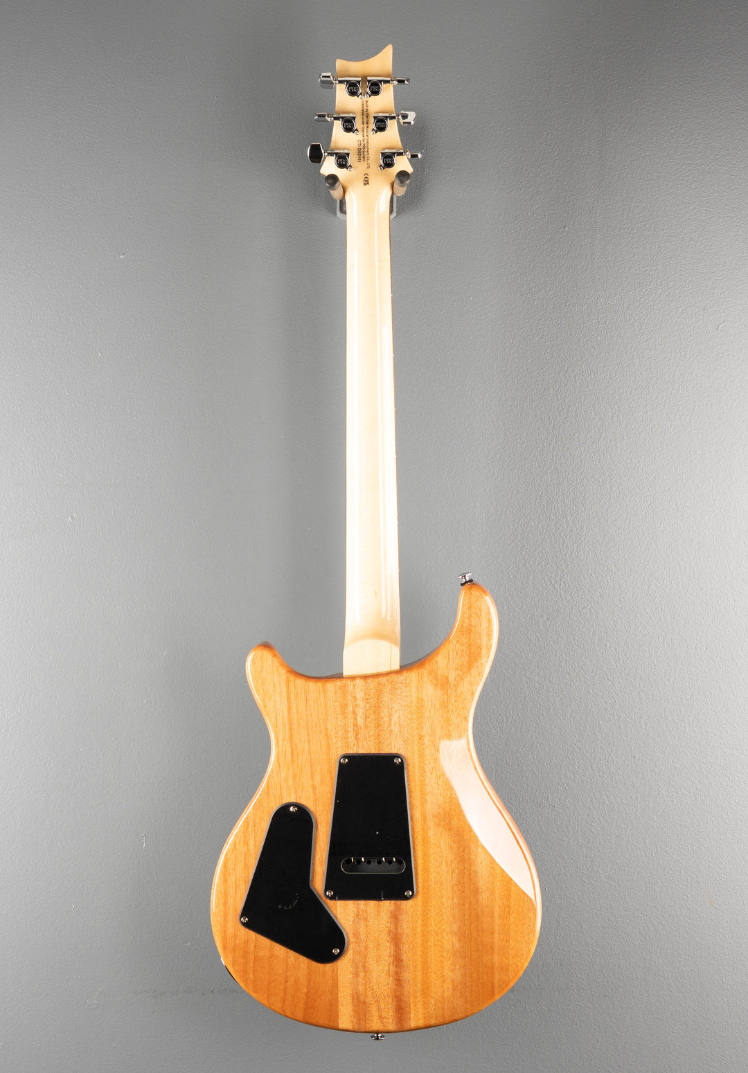 SE Custom 24 &