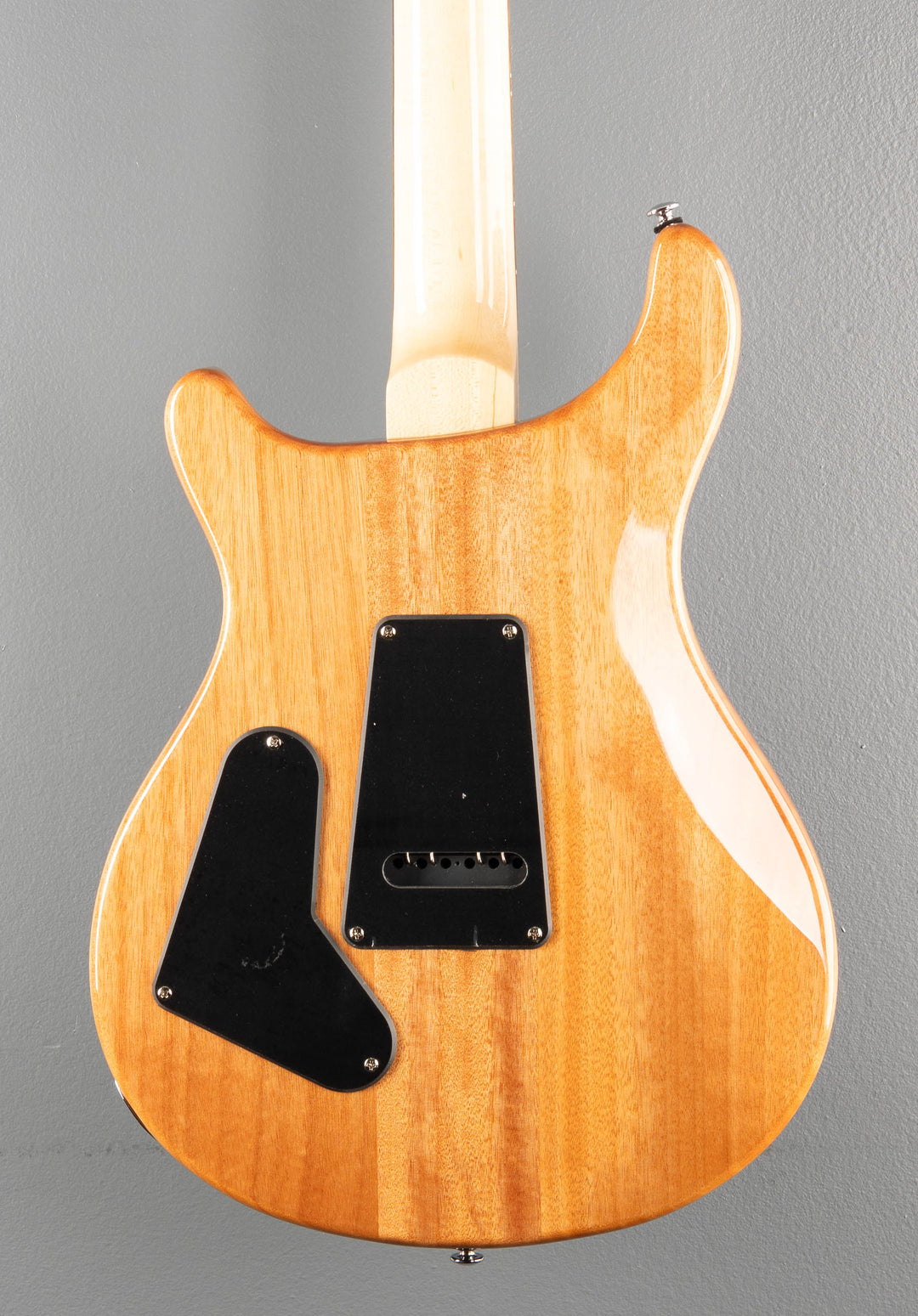 SE Custom 24 &