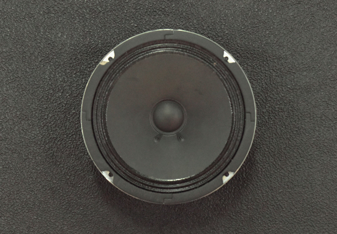 DA-15 - 8" 4 OHM Speaker, Recent
