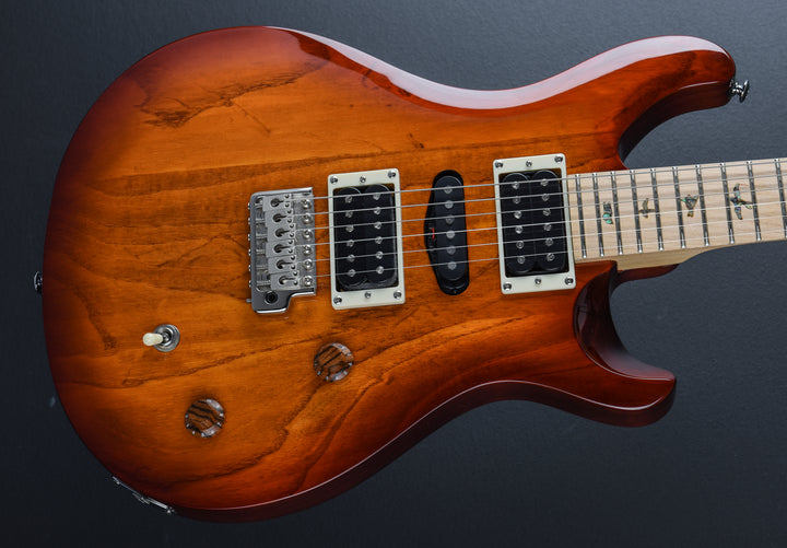 SE Swamp Ash Special '23