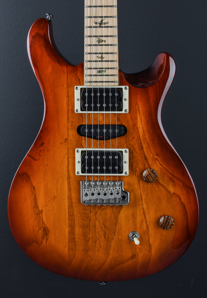 SE Swamp Ash Special '23