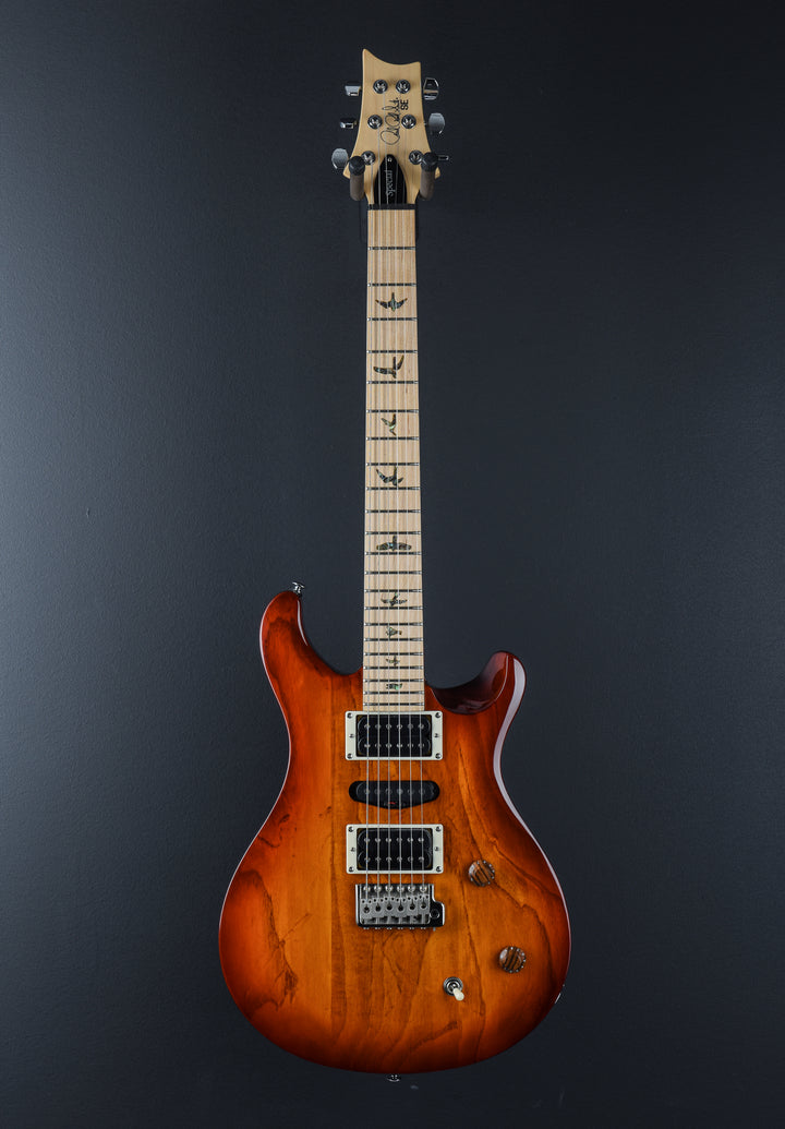 SE Swamp Ash Special '23
