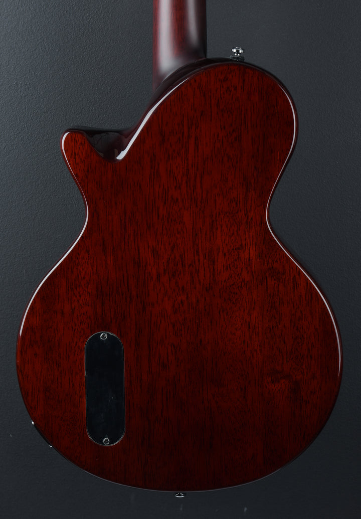 Larry Carlton L3 P90 &