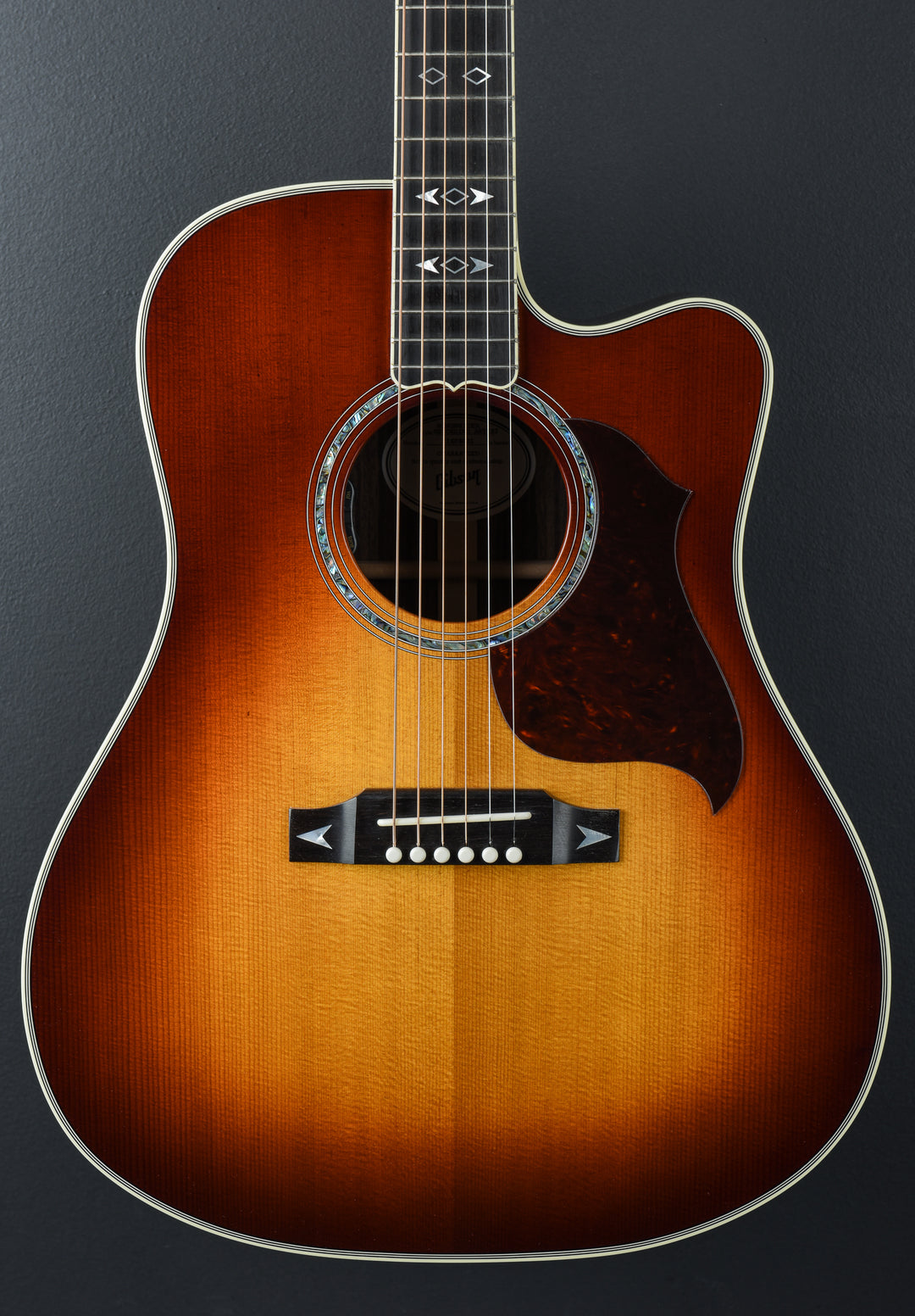 Songwriter Recording Artist EC - Rosewood Burst