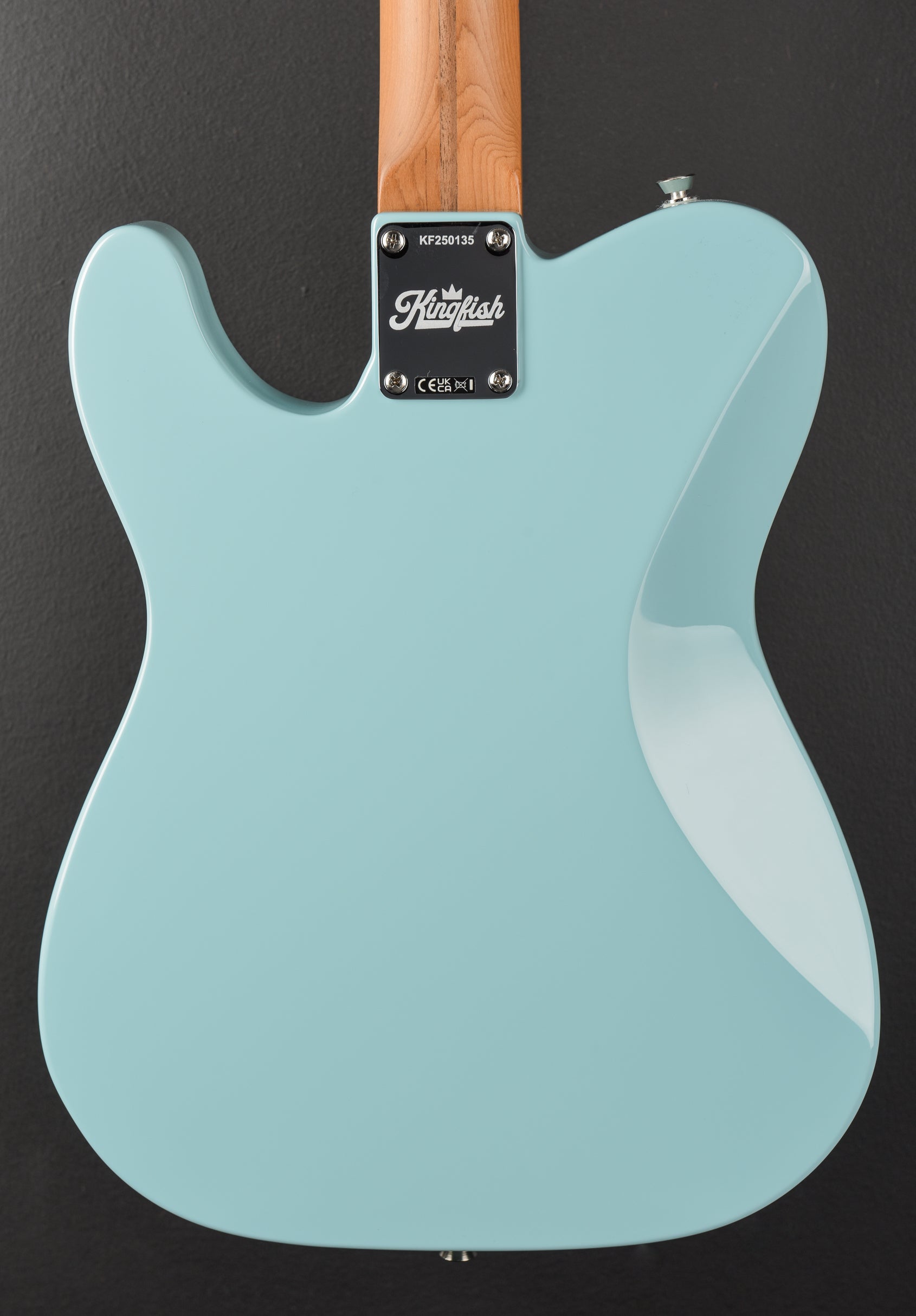 Kingfish Delta Day Telecaster Deluxe - Daphne Blue – Dave's Guitar