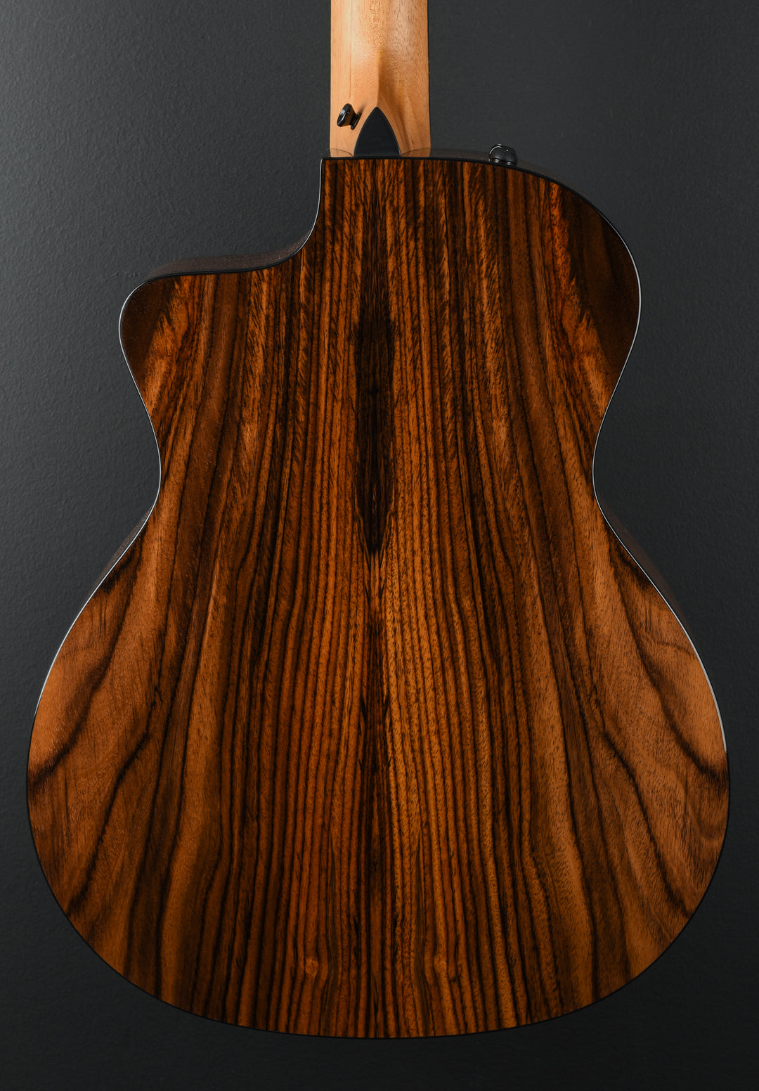 254CE Plus 12 String '25