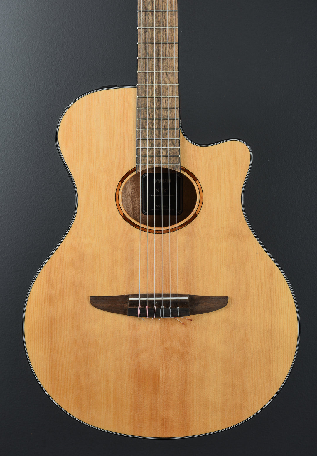 NTX1 Nylon, Recent